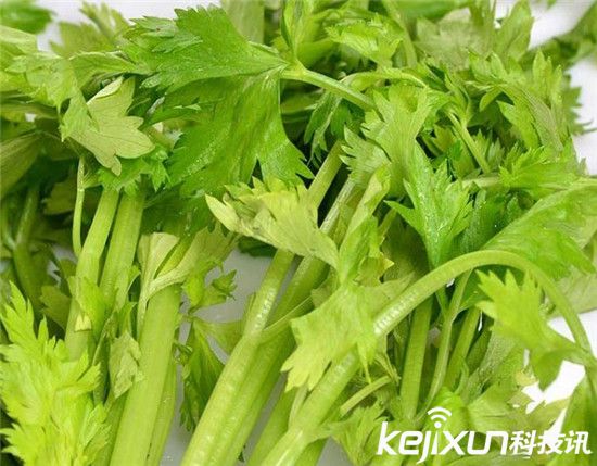 中国十大最脏果蔬排行 葡萄含有15种农药成分! 中国十大最脏果蔬排行 葡萄含有15种农药成分!